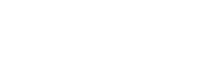 vSure Logo White